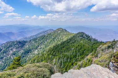 Tepesinde orman olan bir dağ sırası. Gökyüzü mavi ve bulutlar var