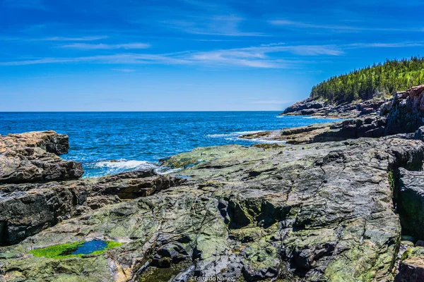 Arka planda mavi bir okyanus olan kayalık bir kıyı şeridi. Kayalar çentikli ve su sakin.