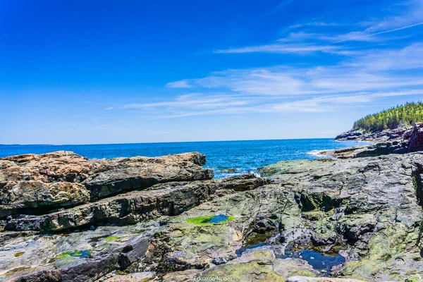 Arka planda mavi bir okyanus olan kayalık bir kıyı şeridi. Gökyüzü açık ve mavidir, ve güneş parlıyor. Huzurlu ve huzurlu bir sahne.