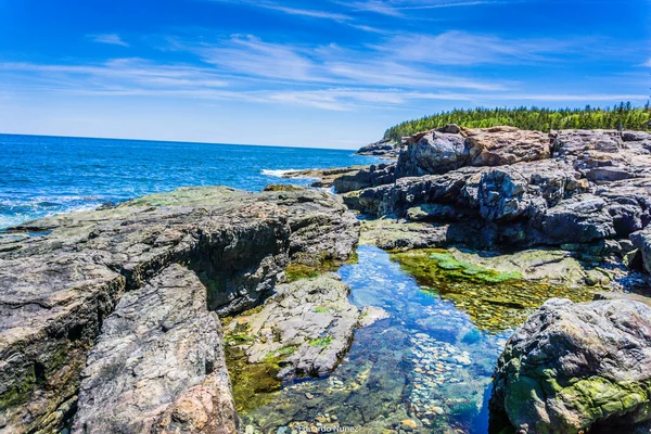 Ortasında küçük bir su kütlesi olan kayalık bir kıyı şeridi. Su berrak ve sakin, ve gökyüzü mavi. Huzurlu ve huzurlu bir sahne.
