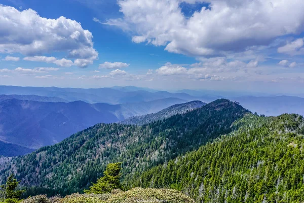 Açık mavi gökyüzü ve birkaç bulutu olan bir dağ sırası. Dağlar yemyeşil, gökyüzü parlak ve berrak