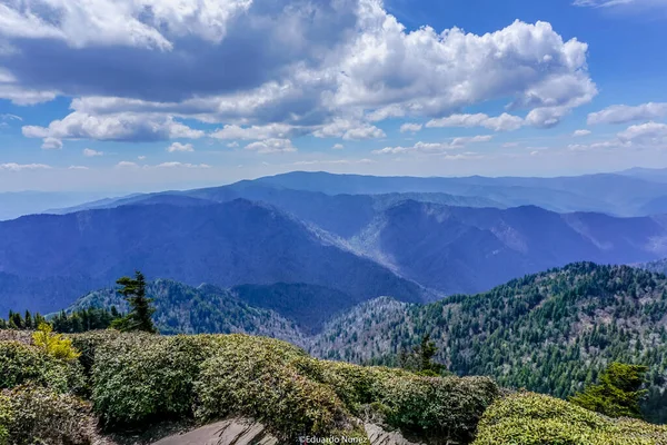 Arka planda mavi gökyüzü olan bir dağ sırası. Dağlar ağaçlarla ve çalılarla kaplıdır.