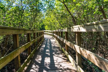 Her iki tarafında ağaçlar olan bir ormanda ahşap bir geçit. Geçit ahşap direklerle kaplı ve ağaçlarla çevrili. Sahne huzurlu ve sakin. Yürüyüş yolu doğal bir ortamdan geçiyor.