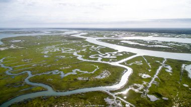 Büyük bir su kütlesi yeşil bir manzarayla çevrilidir. Su sakin ve gökyüzü bulutlu.
