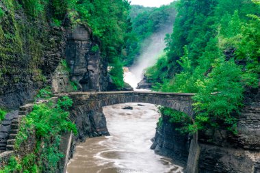 Arka planda şelale olan bir nehir boyunca uzanan bir köprü. Köprü taştan yapılmıştır ve yemyeşil ağaçlarla çevrilidir. Su kahverengi ve o hızlı akıyor. Huzur dolu bir sahne.