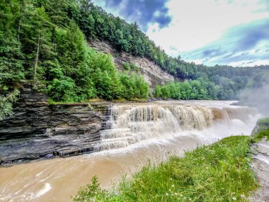 Arka planda yemyeşil bir orman bulunan bir şelale nehre akıyor. Su kahverengi ve bulanık, ve gökyüzü bulutlu. Huzurlu ve huzurlu bir sahne.