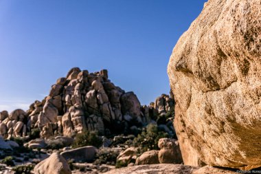 Büyük bir kaya kayalık bir çölün ortasında oturur. Gökyüzü açık ve mavidir, ve güneş parlıyor. Huzurlu ve huzurlu bir sahne.