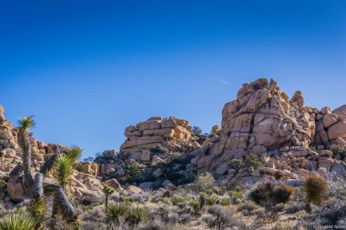 Mavi gökyüzü ve kaya oluşumuyla bir çöl manzarası. Gökyüzü açık ve güneş parlıyor.