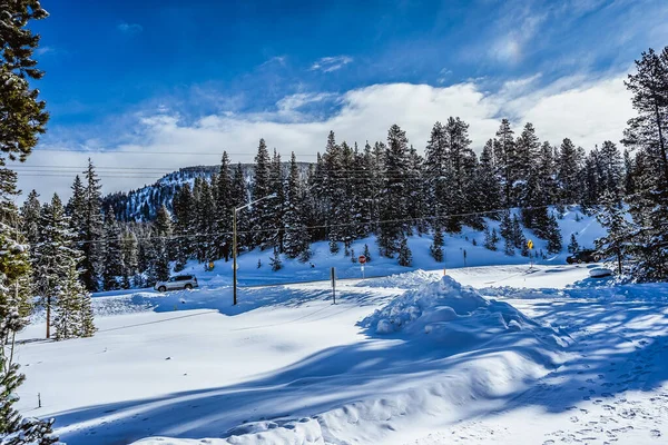Birkaç ağaç ve kar yığını olan karlı bir manzara. Gökyüzü mavi ve kar bembeyaz