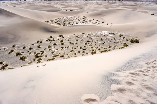 Küçük bir çimenli çöl manzarası. Çimler seyrek ve kum çok kuru.