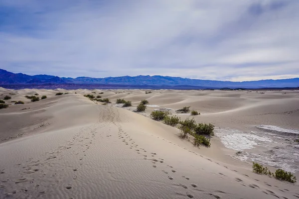 Birkaç ağaç ve bulutlu gökyüzü olan bir çöl manzarası. Gökyüzü mavi ve ağaçlar seyrek.