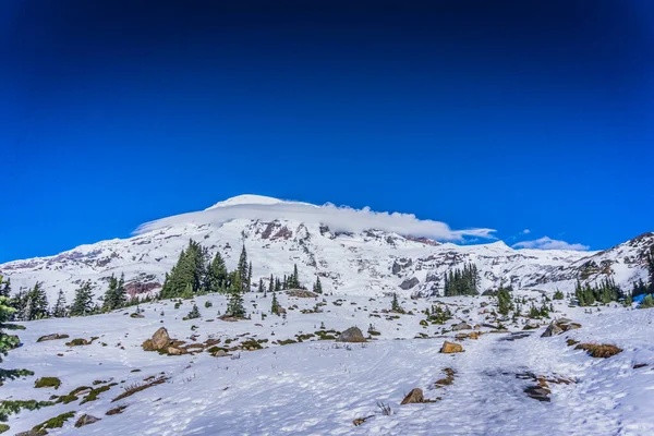 Arkasında mavi gökyüzü olan karlı bir dağ sırası. Kar zemini kaplıyor ve ağaçlar çıplak.