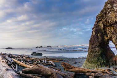 Önünde büyük bir kaya olan kayalık bir sahil. Gökyüzü bulutlu ve su dalgalı.
