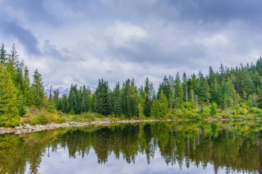 Arka planda bulutlu bir gökyüzü olan ağaçlarla çevrili bir göl. Göl sakin ve huzurlu, ağaçlar suya yansıyor. Sahne sakin ve sakin.