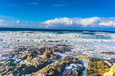 Okyanus sakin ve gökyüzü mavi. Dalgalar küçük ve kayalar kıyı boyunca dağılmış.