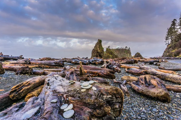 Arkasında büyük bir kaya oluşumu olan kayalık bir sahil. Kumsal kayalıklarla ve tahtalarla kaplı.