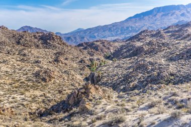 Arkasında dağ olan bir çöl manzarası. Gökyüzü açık ve güneş parlıyor.