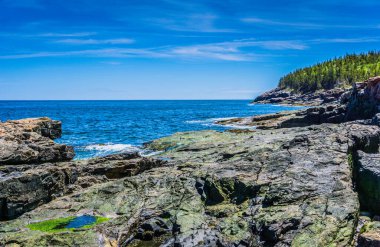 Arka planda mavi bir okyanus olan kayalık bir kıyı şeridi. Kayalar çentikli ve su sakin.