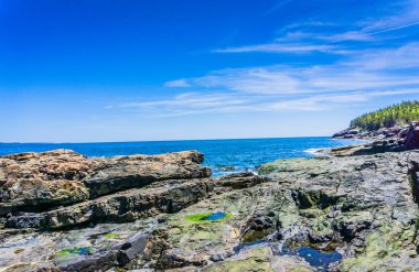 Arka planda mavi bir okyanus olan kayalık bir kıyı şeridi. Gökyüzü açık ve mavidir, ve güneş parlıyor. Huzurlu ve huzurlu bir sahne.