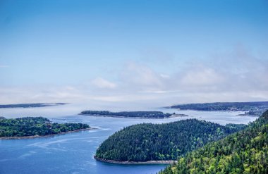 Arka planda orman olan güzel bir göl manzarası. Gökyüzü açık ve mavi, ve su sakin