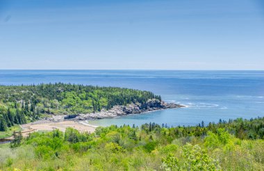 Arka planda ağaçlar olan güzel bir sahil ve okyanus manzarası. Gökyüzü açık ve mavi, ve su sakin