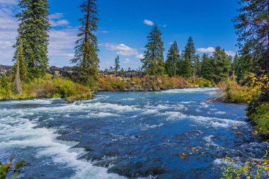 Arka planda mavi renkli ve ağaçlı bir nehir. Su akıyor ve gökyüzü berrak.