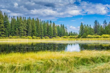 Ağaçlar ve çimlerle çevrili bir göl. Gökyüzü bulutlu ve güneş bulutların arasında parlıyor.