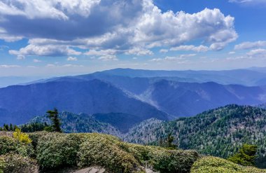 Dağlar ağaçlarla kaplı ve gökyüzü mavi. Dağlar çok yüksek ve ağaçlar yeşil.