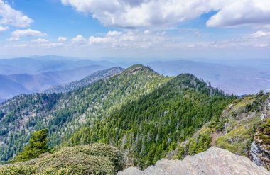 Tepesinde orman olan bir dağ sırası. Gökyüzü mavi ve bulutlar var