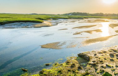 Yeşil bir kıyı şeridi olan sakin bir nehir. Su berrak ve güneş onun üzerinde parlıyor.