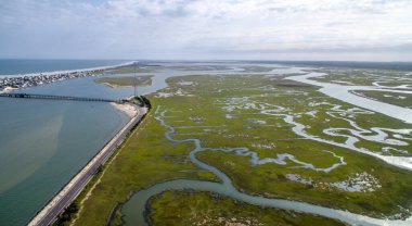 Yolun yanında büyük bir su kütlesi var. Su yeşil ve bulanık.