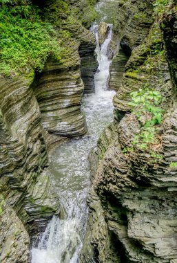 Bir şelale kayalık bir uçurumdan aşağı akıyor. Su berrak ve kayalar pürüzsüz. Huzurlu ve huzurlu bir sahne.