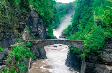 Arka planda şelale olan bir nehir boyunca uzanan bir köprü. Köprü taştan yapılmıştır ve yemyeşil ağaçlarla çevrilidir. Su kahverengi ve o hızlı akıyor. Huzur dolu bir sahne.