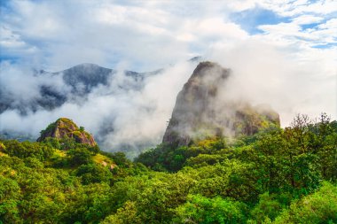 Puslu bulutlar yükselen yeşil tepelerin etrafını sarıyor. Canlı orman zemini sisli gökyüzünün altında uzanıyor. Dağlar sessizce yükselir, yumuşak, sürüklenen sisle kaplanır. Güneş ışığı bulutların arasından doğar