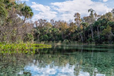 Temiz su gökyüzünü ve ağaçları yansıtır. Yeşil bitkiler sakin yüzey boyunca uzanır. Ağaçlar her iki kıyıda da dik dururlar. Parlak bulutlar sahnenin üzerinde sürükleniyor. Doğa huzurlu ve el değmemiş hissediyor.