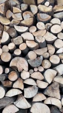 Büyük bir odun yığını üzerinde dikey tava. Deneyimli kereste kütüklerinden oluşan kusursuz bir duvar. Doğal ahşap desen, kırsal doku ve enerji kaynağı kavramı. 4k dikey video.