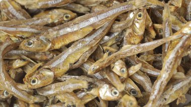 Kurutulmuş tuzlu ançüez mi yoksa ikan teri mi?