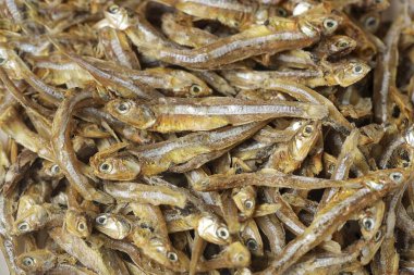 Kurutulmuş tuzlu ançüez mi yoksa ikan teri mi?