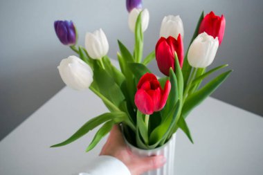 A hand holds a white ribbed ceramic vase filled with red, white, and purple tulips. Their green leaves add contrast, and the light gray background makes the colors stand out, creating a bright, simple composition.