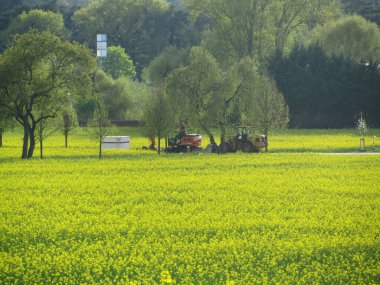 Uzakta turuncu kazıcı bulunan düz bir ağaç çizgili kırsal yol. Kırsal kesimdeki doğa ve inşaat işleri arasındaki zıtlığı yakalar.