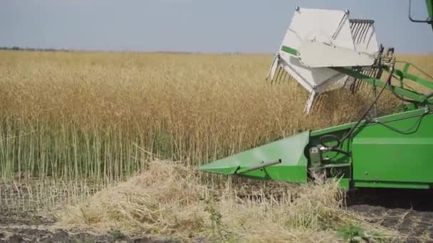 在田间关闭联合收割机收割菜籽作物.繁殖地 — 图库视频影像