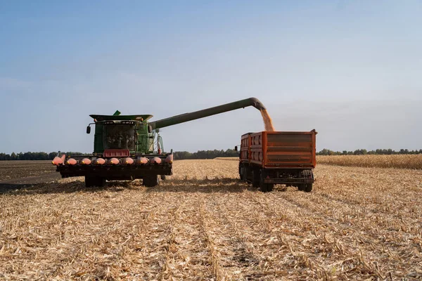 Memanen jagung matang kering di lapangan dengan pemanen hijau — Stok Foto