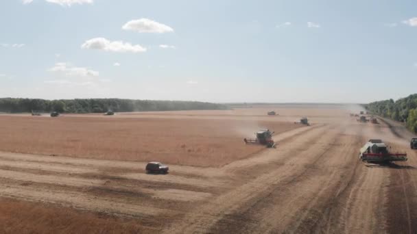 Sojabonen oogsten door maaidorsers droog veld luchtfoto — Stockvideo