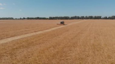 Soya fasulyesi hasadı hasat hava görüntüsünü birleştirerek yapılıyor.