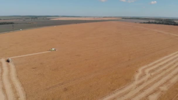 Zbioru soi przez kombajn zbożowy widok z powietrza — Wideo stockowe