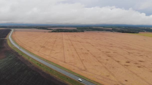 Campo amarillo Nubes densas camino pavimentado vista aérea — Vídeo de stock