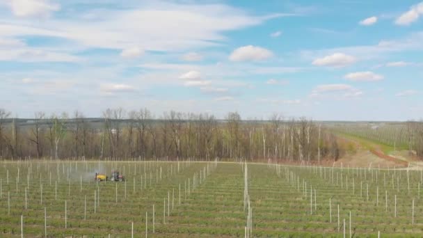 Przetwarzanie sadu jabłkowego. Czerwony traktor w jabłkowym sadzie. Opryskiwanie ogrodu ciągnikiem - film z powietrza. Ciągnik rozpyla drzewa w ogrodzie. — Wideo stockowe