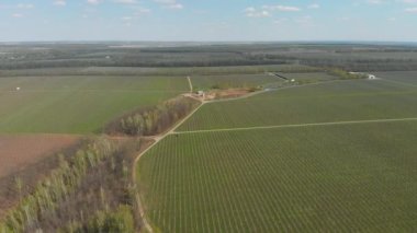 Bir elma bahçesinin işlenmesi. Elma bahçesindeki kırmızı traktör. Bahçeyi bir traktörle ilaçlıyor. Havadan çekilmiş bir video. Traktör bahçedeki ağaçları ilaçlıyor..