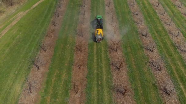 Przetwarzanie sadu jabłkowego. Zielony traktor w jabłkowym sadzie. Rozpylanie ogrodu ciągnikiem. Ciągnik rozpyla drzewa w ogrodzie. — Wideo stockowe