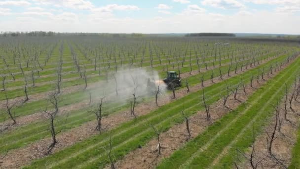 Przetwarzanie sadu jabłkowego. Zielony traktor w jabłkowym sadzie. Rozpylanie ogrodu ciągnikiem. Ciągnik rozpyla drzewa w ogrodzie. — Wideo stockowe